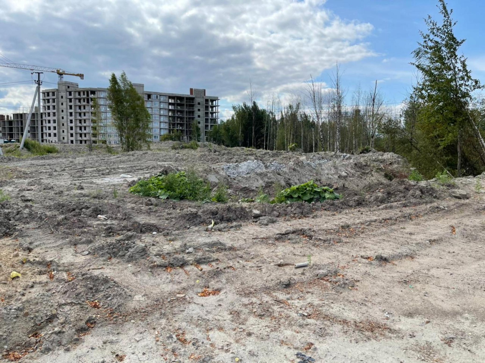 Росприроднадзор по СЗФО проводит проверку по факту размещения отходов в деревне Скотное Ленинградской области